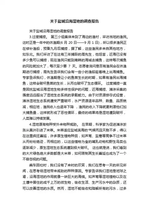 关于盐城沿海湿地的调查报告