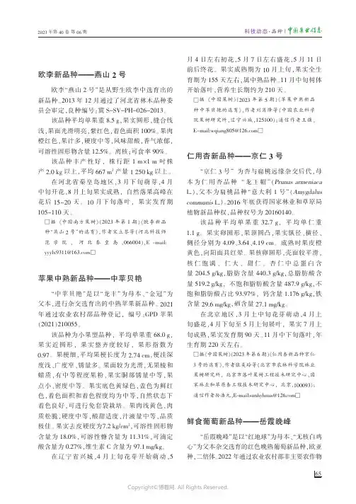 鲜食葡萄新品种——岳霞晚峰