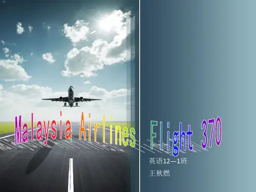 马航MH370事件PPT