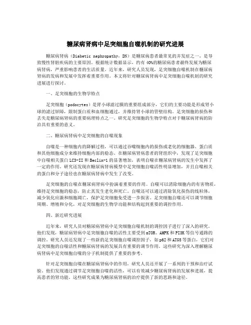 糖尿病肾病中足突细胞自噬机制的研究进展