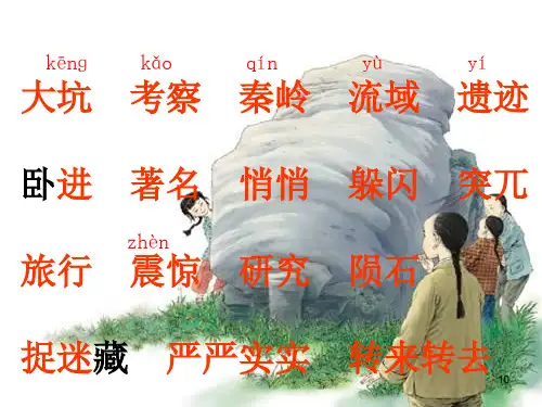 优质课奇怪的大石头PPT课件