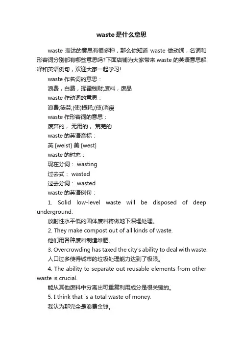 waste是什么意思