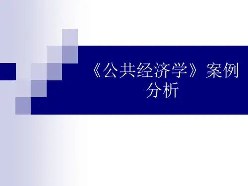 公共经济学案例分析课