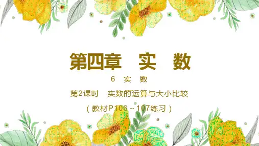 第2课时 实数的运算与大小比较(教材P106～107练习)