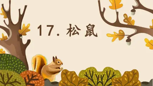 《松鼠》PPT优秀课件