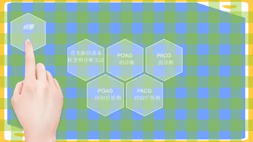 【正式版】青光眼专家共识PPT文档