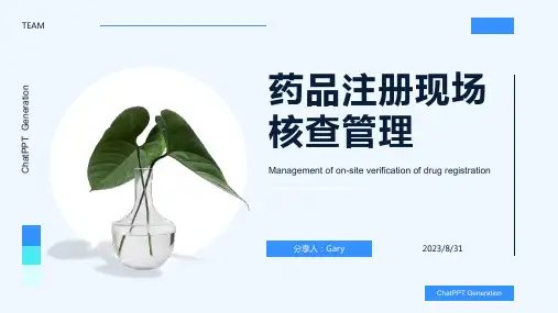 2023年药品注册现场核查管理和规定方案模板 (2)