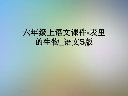 六年级上语文课件-表里的生物_语文S版