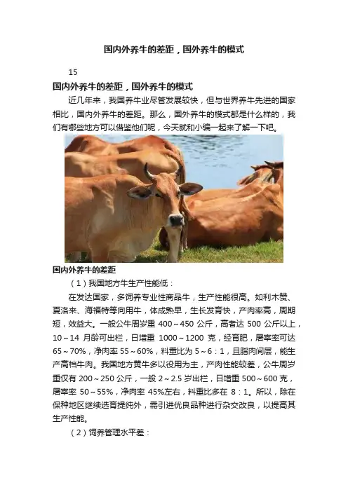 国内外养牛的差距，国外养牛的模式