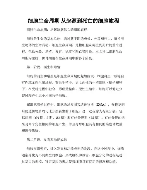 细胞生命周期 从起源到死亡的细胞旅程