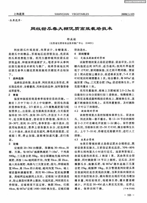 网纹甜瓜春大棚优质高效栽培技术