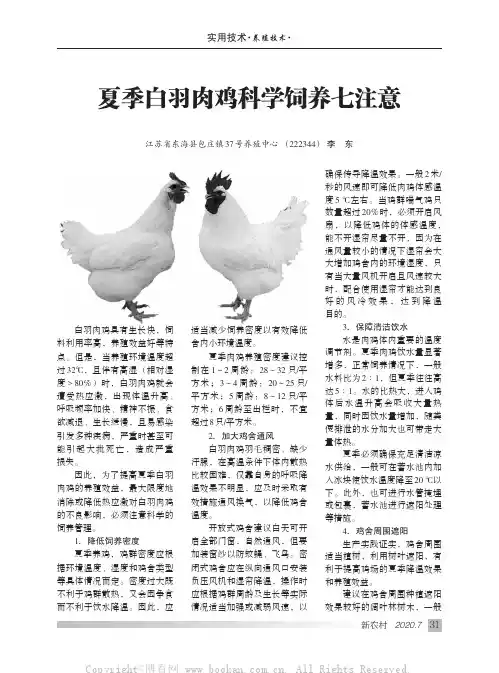 夏季白羽肉鸡科学饲养七注意