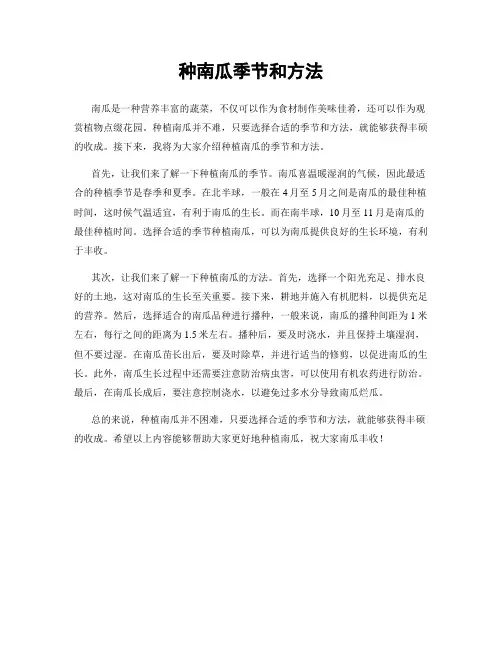 种南瓜季节和方法