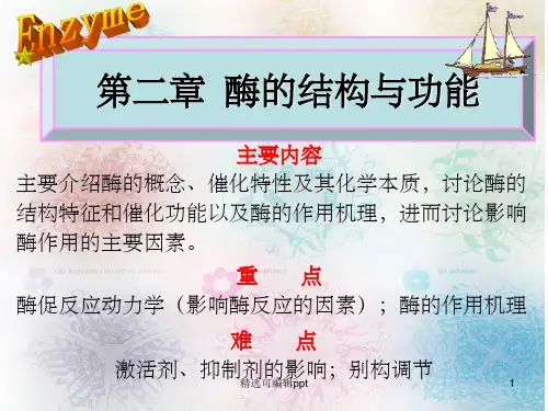 酶的结构与功能