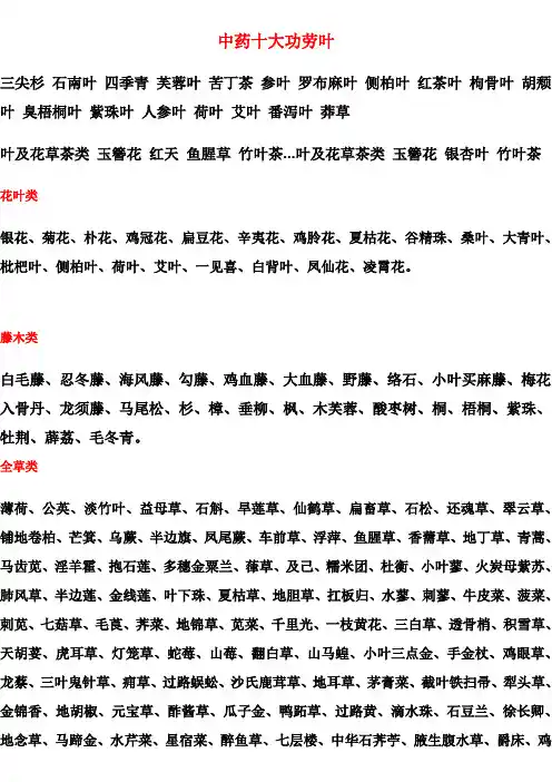 中药十大功劳叶