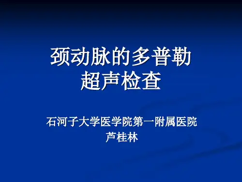 颈动脉的多普勒超声检查