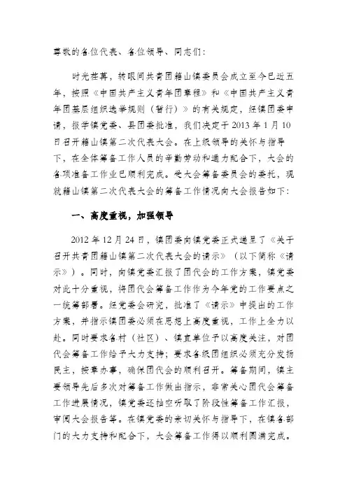 团代会筹备工作报告