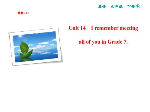 人教版九年级英语下册复习课件Unit 14 单元写作