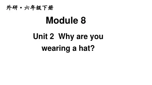 外研版六年级英语下册上课课件Module 8 Unit 2