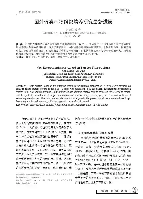 国外竹类植物组织培养研究最新进展_高志民