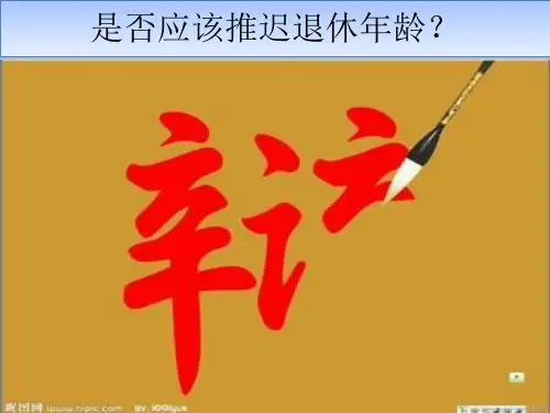推迟退休_辩论赛