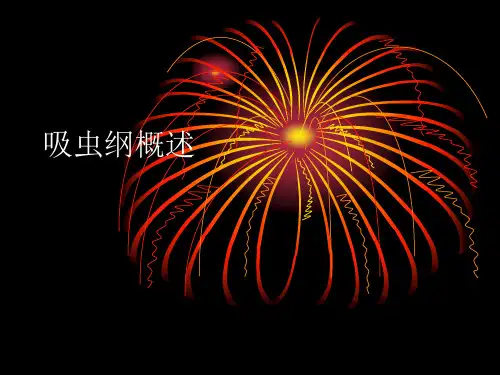 吸虫纲概述PPT课件