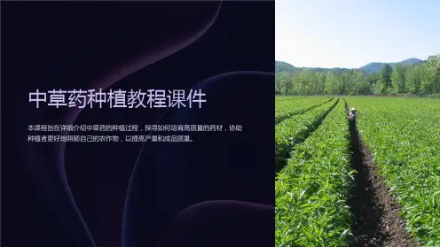 《中草药种植教程课件--详细讲解每个环节中的细节问题》