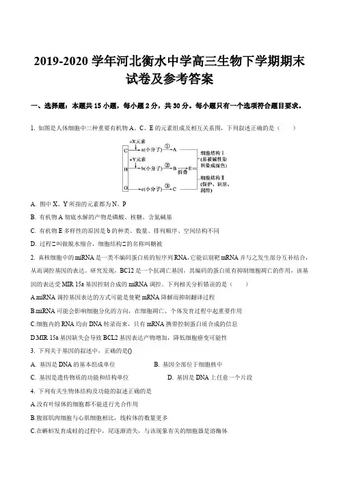 2019-2020学年河北衡水中学高三生物下学期期末试卷及参考答案