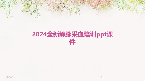 2024全新静脉采血培训ppt课件