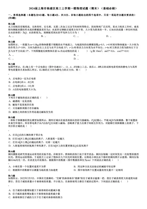 2024届上海市杨浦区高三上学期一模物理试题(期末)(基础必刷)