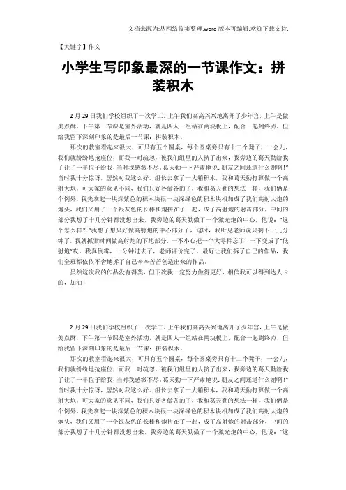 【作文】小学生写印象最深的一节课作文拼装积木