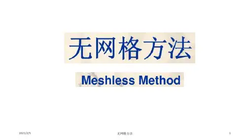无网格方法 ppt课件