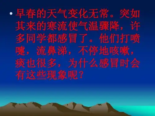 呼吸道和肺的功能ppt