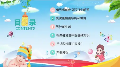 暖色家政机构护理人员培训催乳师通用培训讲座课件PPT模板