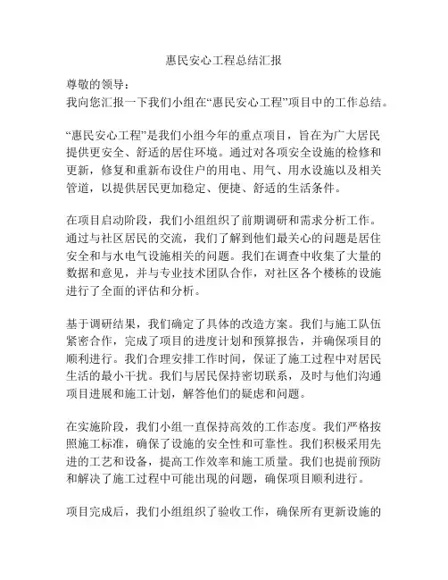 惠民安心工程总结汇报