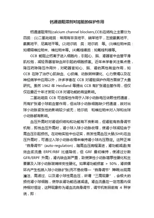 钙通道阻滞剂对肾脏的保护作用