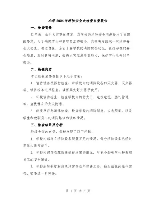 小学2024年消防安全大检查自查报告