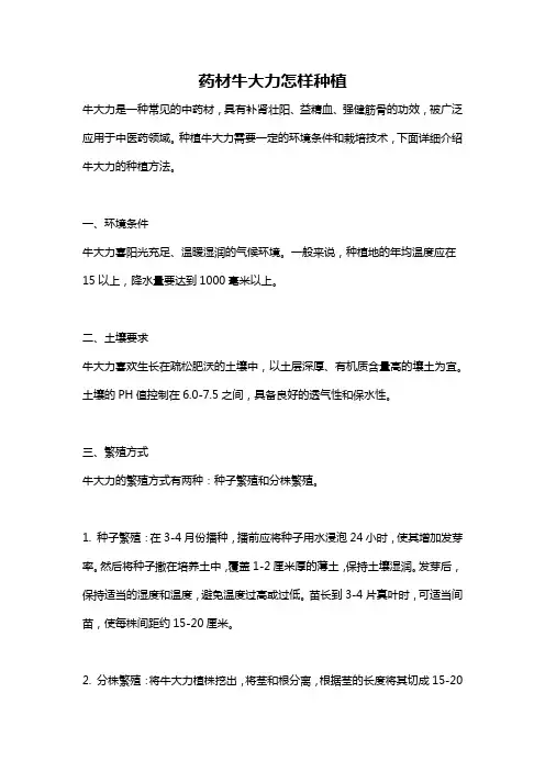 药材牛大力怎样种植
