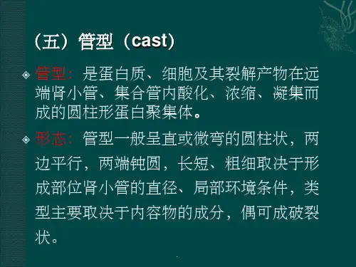 管型ppt课件