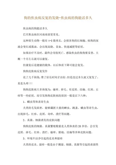 狗的焦虫病反复的发烧-焦虫病的狗能活多久