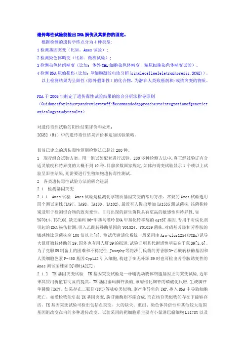 遗传毒性试验