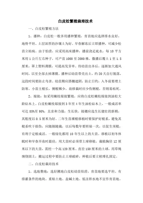 白皮松繁殖栽培技术