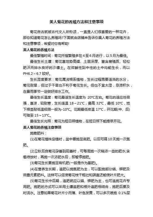 美人菊花的养殖方法和注意事项