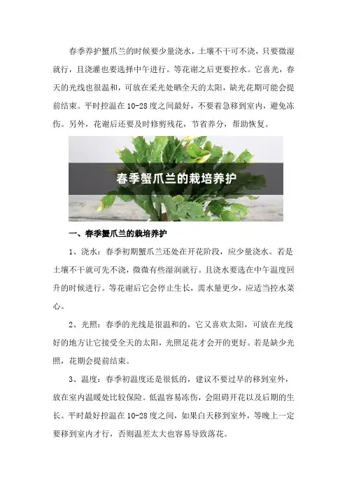春季蟹爪兰的栽培养护,春天换盆好还是秋天好