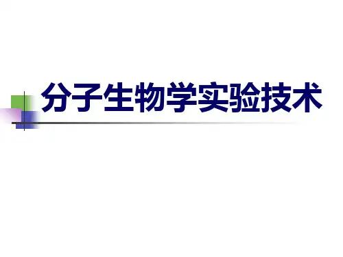 分子生物学实验技术ppt课件