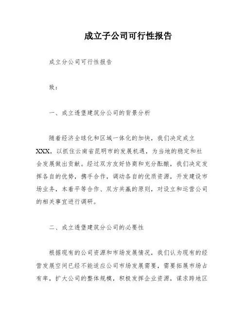 成立子公司可行性报告