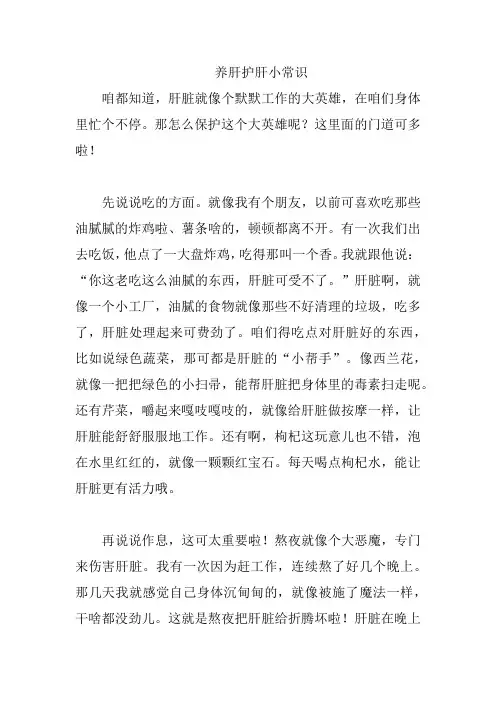 养肝护肝小常识