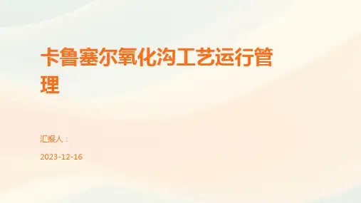 卡鲁塞尔氧化沟工艺运行管理