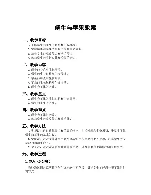 蜗牛与苹果教案