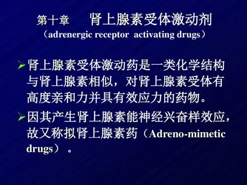 药理-10肾上腺素受体激动药